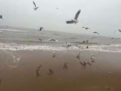 -海天一色海景自助餐厅(西港花园店)