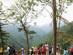 -凤凰山国家森林公园