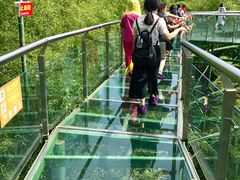 -陶祖圣境风景区