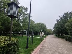 -唐城墙遗址公园