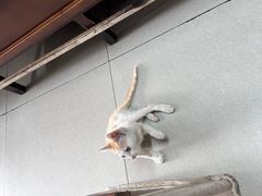 -新疆喀什噶尔餐厅(普利街店)