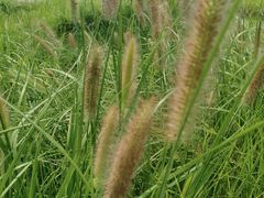 -汉长安城未央宫国家考古遗址公园