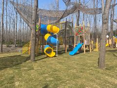 -合肥滨湖国家森林公园