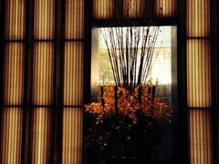 iphone_upload_pic-上海璞麗酒店