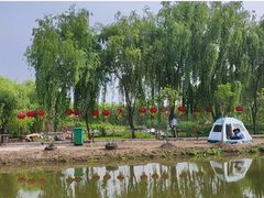 -同銮特种养殖场·龙虾垂钓