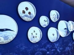 -上海中国航海博物馆