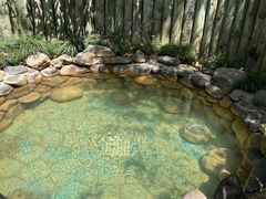 -张家港金凤凰度假村温泉