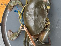 -Ministry of Crab•MOC(交子大道店)