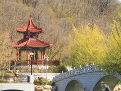 -大连植物园