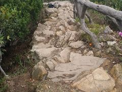 -梧桐山风景名胜区