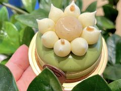 -CREAM STORY意大利手工冰淇淋&甜品(万象前海店)