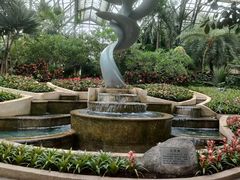 -南山植物园