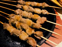 -蒙料·手把肉(望京店)