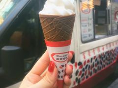 -富豪雪糕车流动点(尖沙咀店)