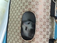 -莘程宠物医院(金山店)
