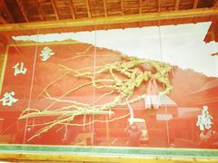 -参仙谷生态旅游度假区