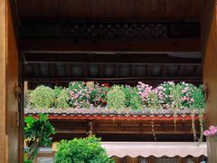 -唐咖精品咖啡(大理古城手冲店)