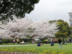-复旦大学光华楼
