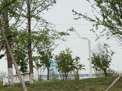 -西安浐灞国家湿地公园