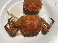-芝小官毛肚火锅海鲜自助(苏州吴江区万宝店)