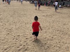 -碧海金沙