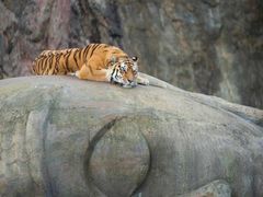 -风味烧烤(泰富店)