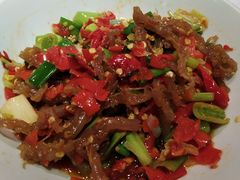 -壹盏灯(惠农店)