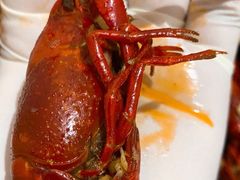 大头虾-琥珀老六龙虾(四里河店)
