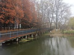 -月湖风景区