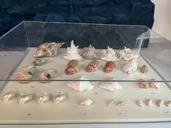 -上海中国航海博物馆