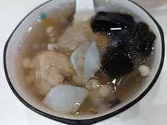 -凉凉海石花