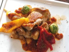 -百好乐宠物友好餐厅(朝外大街店)