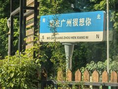 -柴犬高等学院·狗咖·柴犬售卖·宠物训练