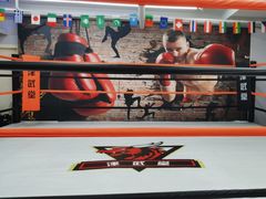 -津武堂散打搏击俱乐部(河西店)