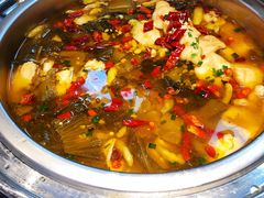 秘制酸菜鱼-非烤勿扰韩料自助烤肉(松山湖万科店)