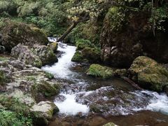 -龙苍沟森林公园