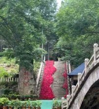 -洛阳白云山景区