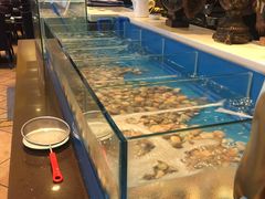 -火舞泰·泰式海鲜火锅餐厅(世纪城店)