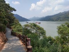 -羚羊峡古栈道森林公园