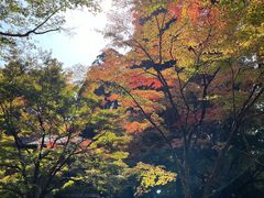 -三千院