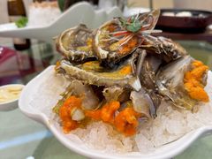 -皇朝海鲜酒店