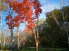 -长春市南湖公园