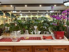 -维兰西餐(万泉河店)