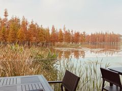 -白鹭湾湿地公园