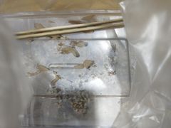 -老王豆皮