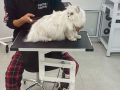 -comecome来吧宠物(奥克斯中心店)