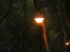-燕晗山郊野公园