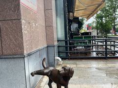 -中粮·祥云小镇