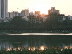 -南宁南湖公园