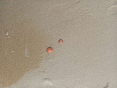 -北戴河东海水浴场